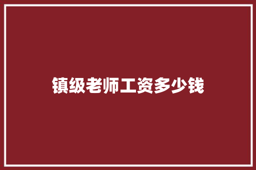 镇级老师工资多少钱