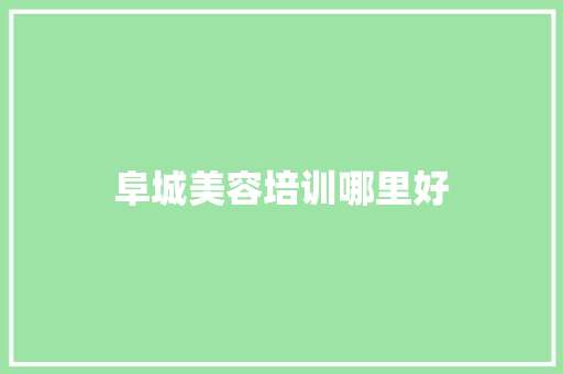 阜城美容培训哪里好 说明文范文