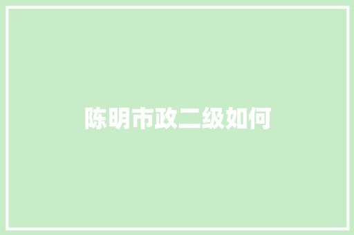 陈明市政二级如何
