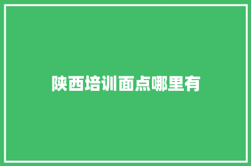 陕西培训面点哪里有 散文范文
