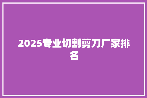 2025专业切割剪刀厂家排名