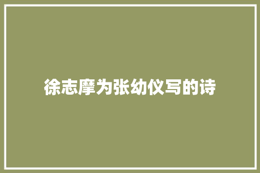 徐志摩为张幼仪写的诗 商业计划书范文
