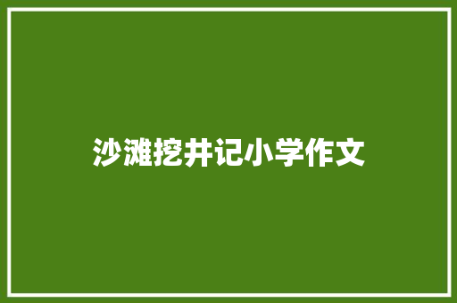 沙滩挖井记小学作文