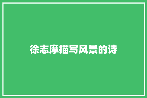 徐志摩描写风景的诗
