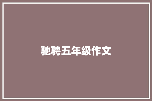 驰骋五年级作文