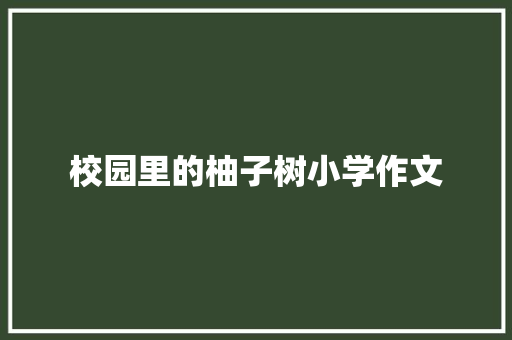 校园里的柚子树小学作文