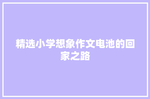 精选小学想象作文电池的回家之路 求职信范文