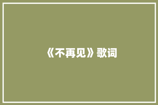 《不再见》歌词 商业计划书范文