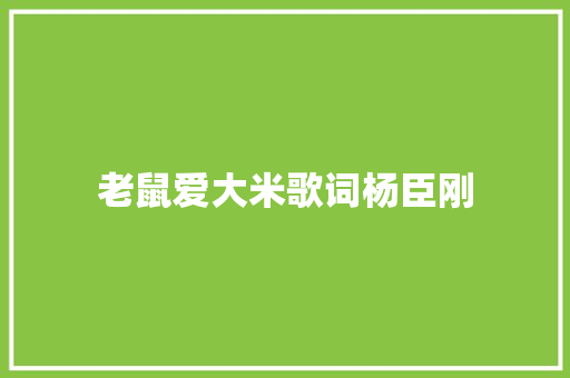 老鼠爱大米歌词杨臣刚