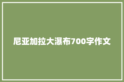 尼亚加拉大瀑布700字作文 商业计划书范文