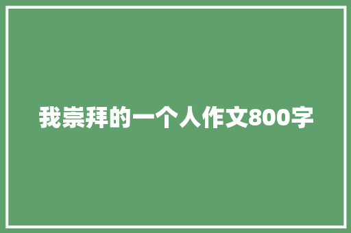 我崇拜的一个人作文800字 商业计划书范文