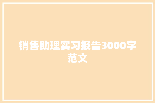 销售助理实习报告3000字范文 散文范文