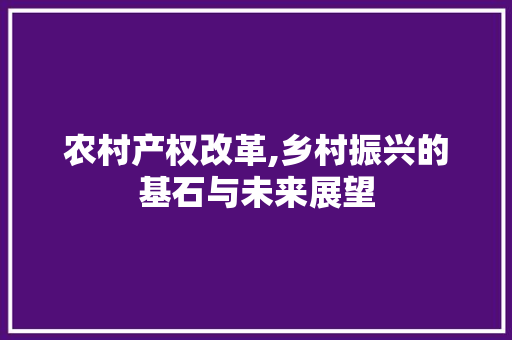农村产权改革,乡村振兴的基石与未来展望
