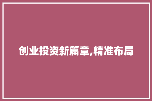 创业投资新篇章,精准布局，共创辉煌