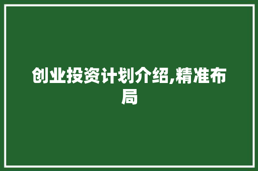 创业投资计划介绍,精准布局，助力梦想起航