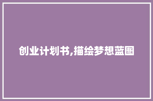 创业计划书,描绘梦想蓝图，迈向成功未来