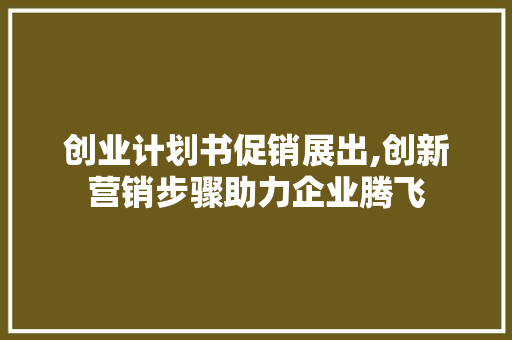 创业计划书促销展出,创新营销步骤助力企业腾飞