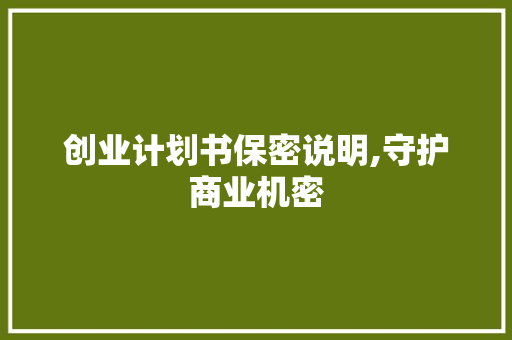 创业计划书保密说明,守护商业机密，铸就企业辉煌