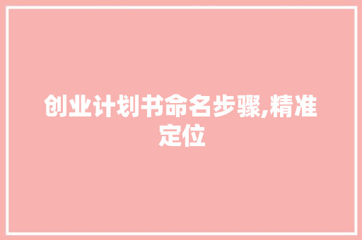 创业计划书命名步骤,精准定位，助力企业腾飞