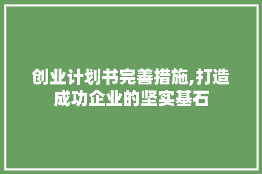 创业计划书完善措施,打造成功企业的坚实基石