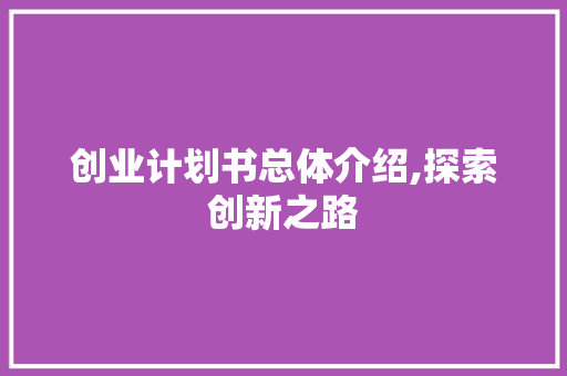 创业计划书总体介绍,探索创新之路，打造未来企业