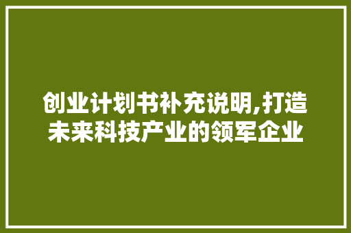 创业计划书补充说明,打造未来科技产业的领军企业