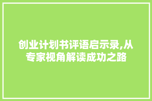 创业计划书评语启示录,从专家视角解读成功之路