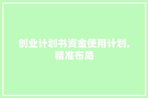创业计划书资金使用计划,精准布局，助力企业腾飞