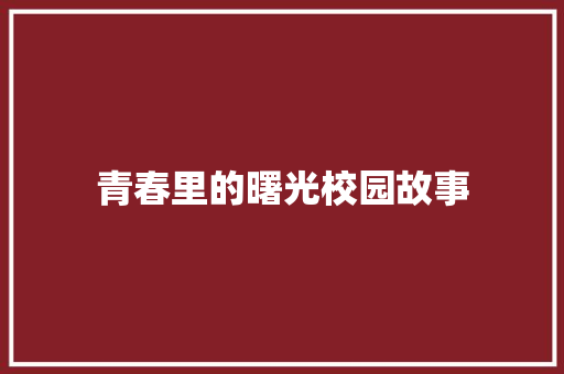 青春里的曙光校园故事 诗歌范文
