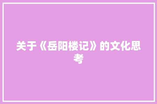关于《岳阳楼记》的文化思考 商业计划书范文