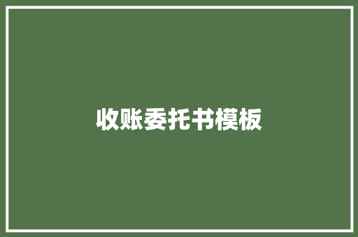 收账委托书模板 商业计划书范文