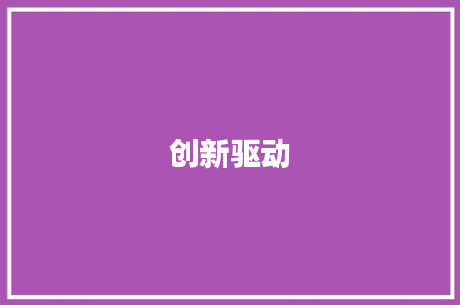 创新驱动，租赁创业新机遇_基于租赁创业计划书模板的讨论