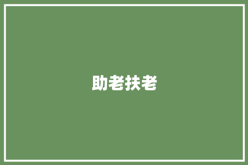 助老扶老，构建和谐社会的坚实基石_对我国助老扶老计划的详细解读
