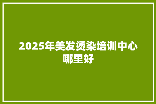 2025年美发烫染培训中心哪里好