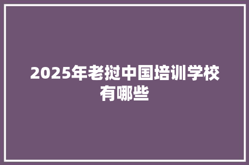 2025年老挝中国培训学校有哪些
