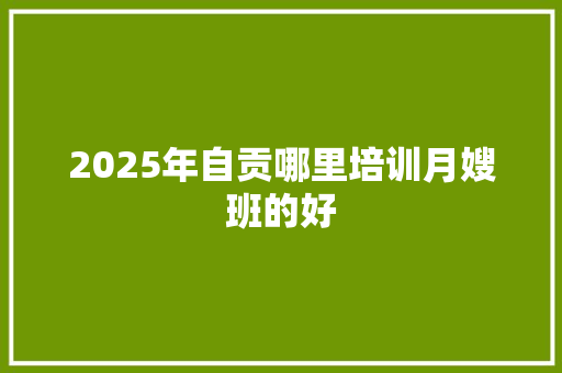 2025年自贡哪里培训月嫂班的好