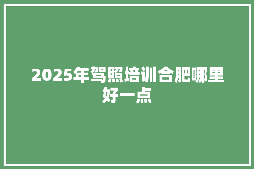 2025年驾照培训合肥哪里好一点