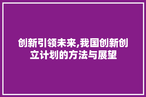 创新引领未来,我国创新创立计划的方法与展望