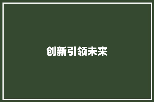 创新引领未来，打造智慧医疗新生态_XX项目计划书解读