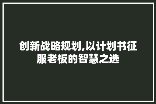 创新战略规划,以计划书征服老板的智慧之选 记叙文范文