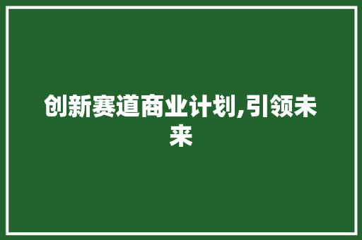 创新赛道商业计划,引领未来，共创辉煌