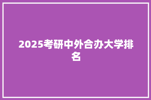 2025考研中外合办大学排名