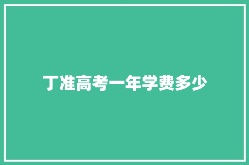 丁准高考一年学费多少