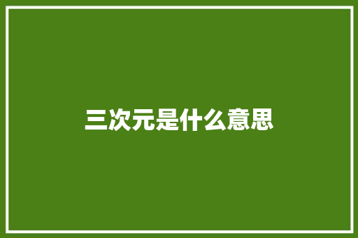 三次元是什么意思