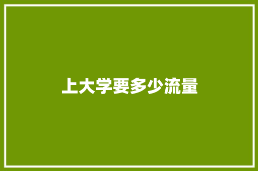 上大学要多少流量