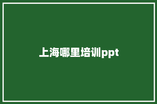 上海哪里培训ppt