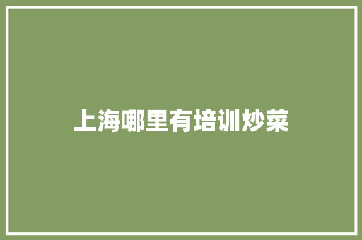 上海哪里有培训炒菜