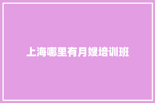 上海哪里有月嫂培训班