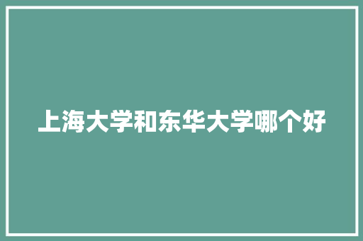 上海大学和东华大学哪个好