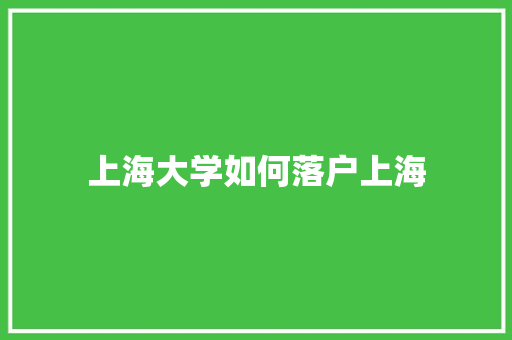 上海大学如何落户上海
